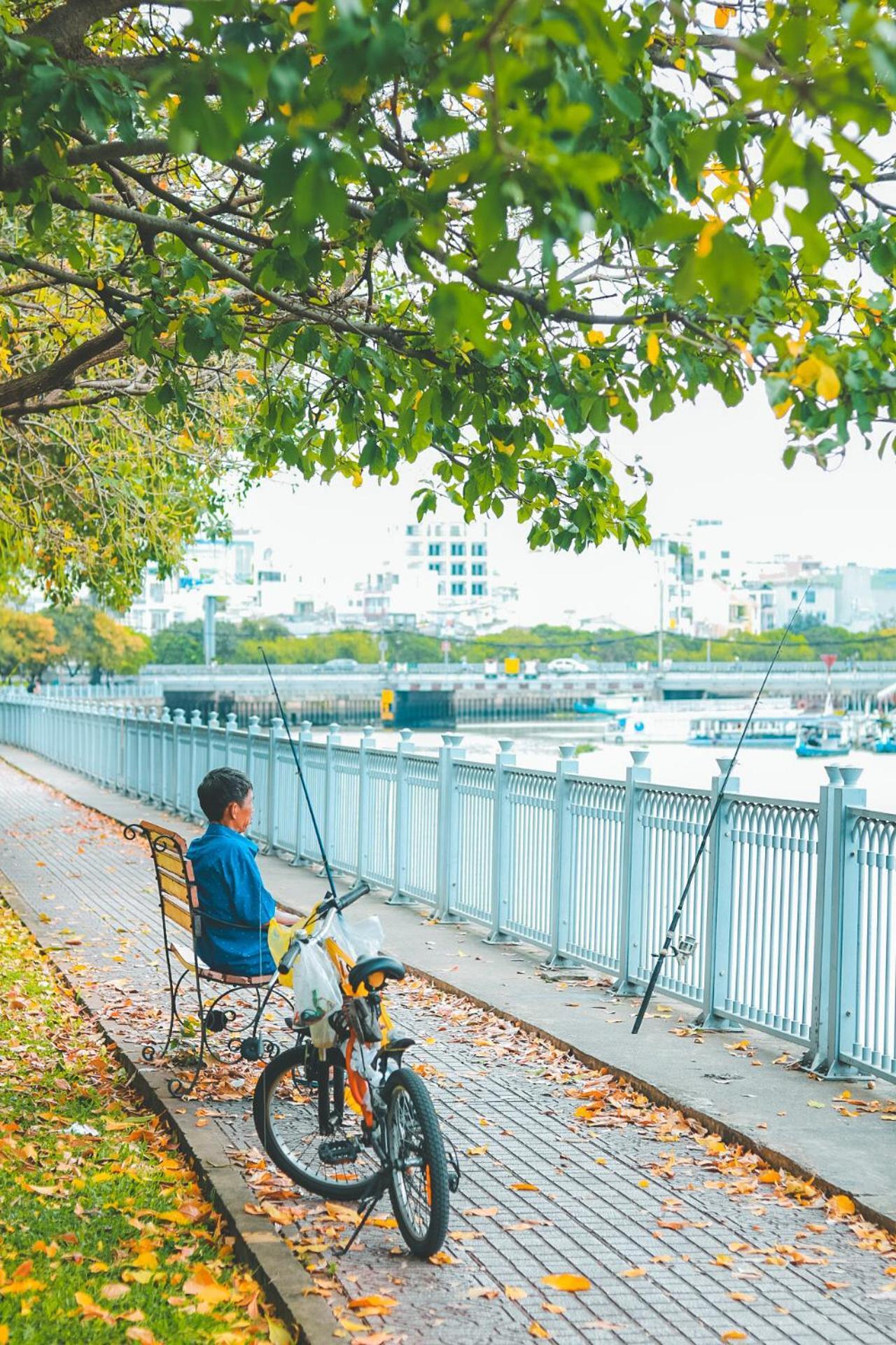 Nhà khách Pink House - Cozy TP. Hồ Chí Minh
